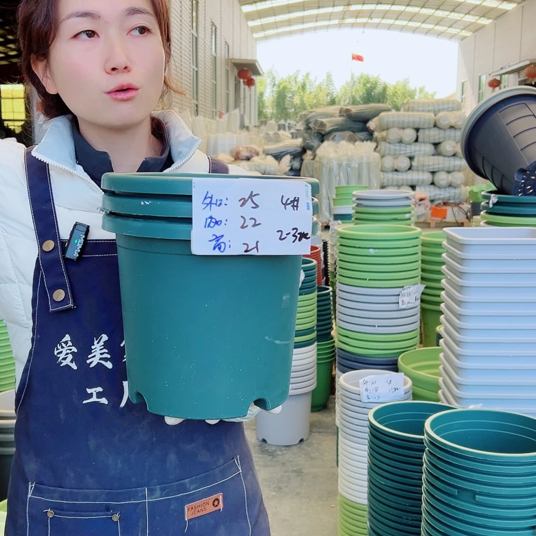 四季盆4#墨绿10个无托