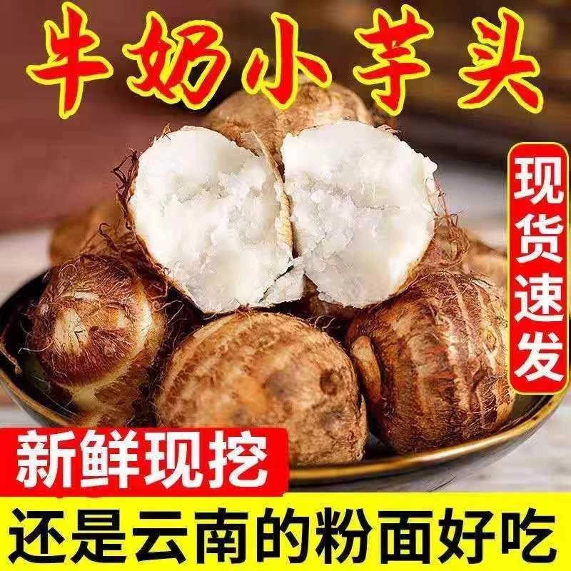 云南新鲜牛奶芋头
