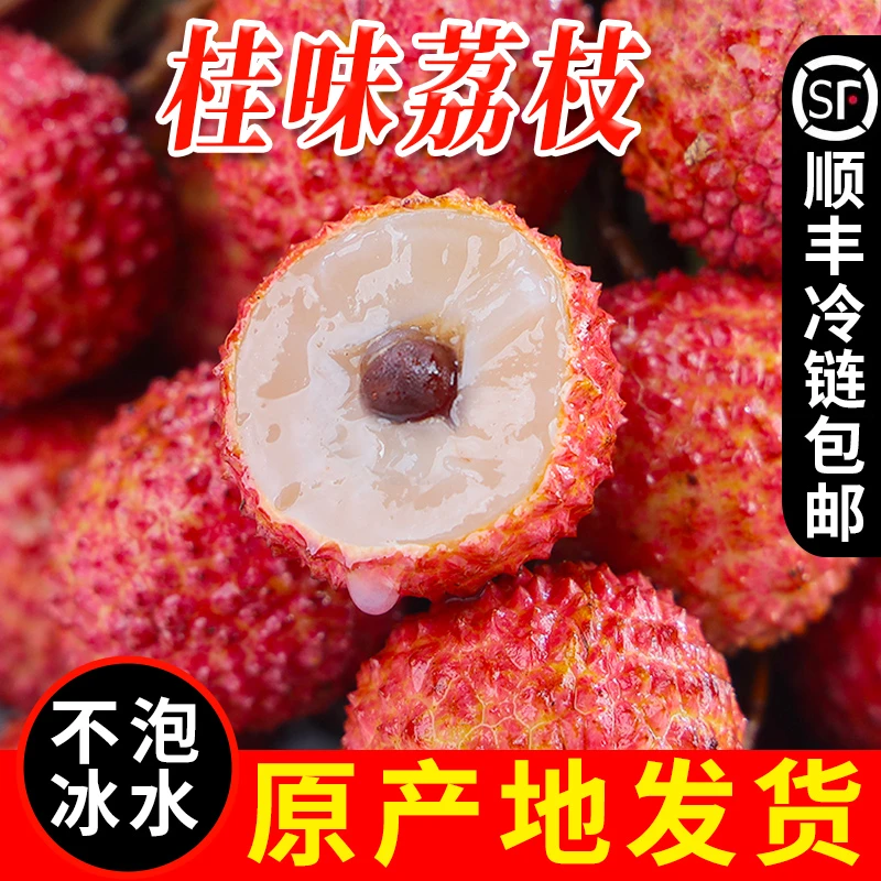 正宗广东高州新鲜桂味荔枝当季新鲜水果整箱3/5斤顺丰冷链包邮