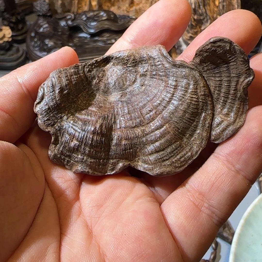 沉香沉香碎屑11克顺化红土