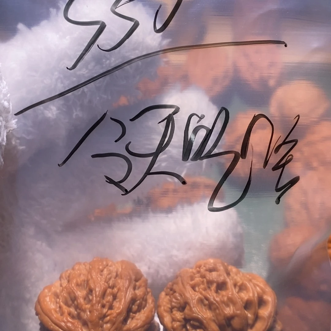吊坠桃核粗筋壮肠通经