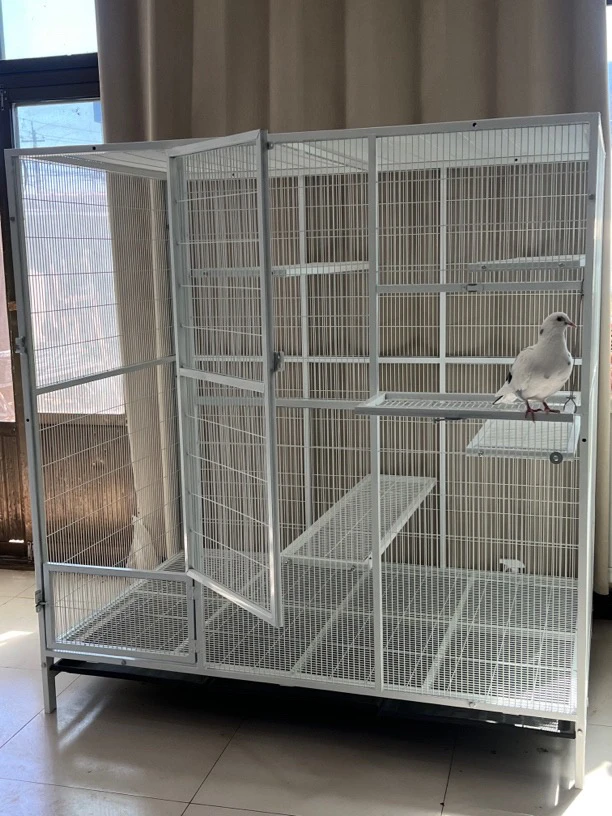 长1.5米宽1米高1.6（包含腿）组装加粗加密孔可养鸽子鹦鹉鸟养殖笼