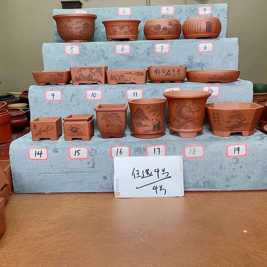 紫砂花盆我在看书