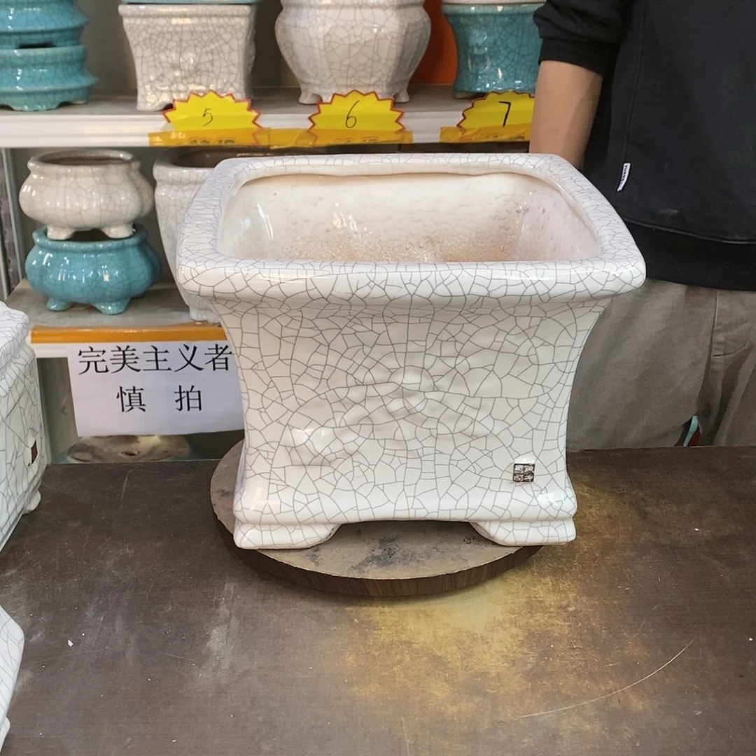 ?**?瑕疵花盆花盆里的花