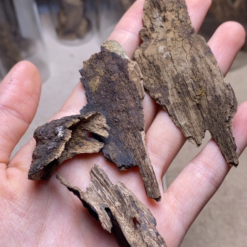 【闪购商品】香榧木海南7克碳化