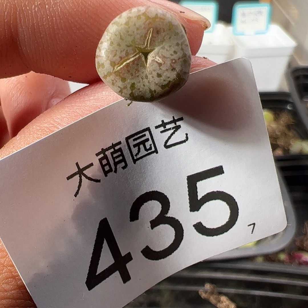 0000435 一物一拍……