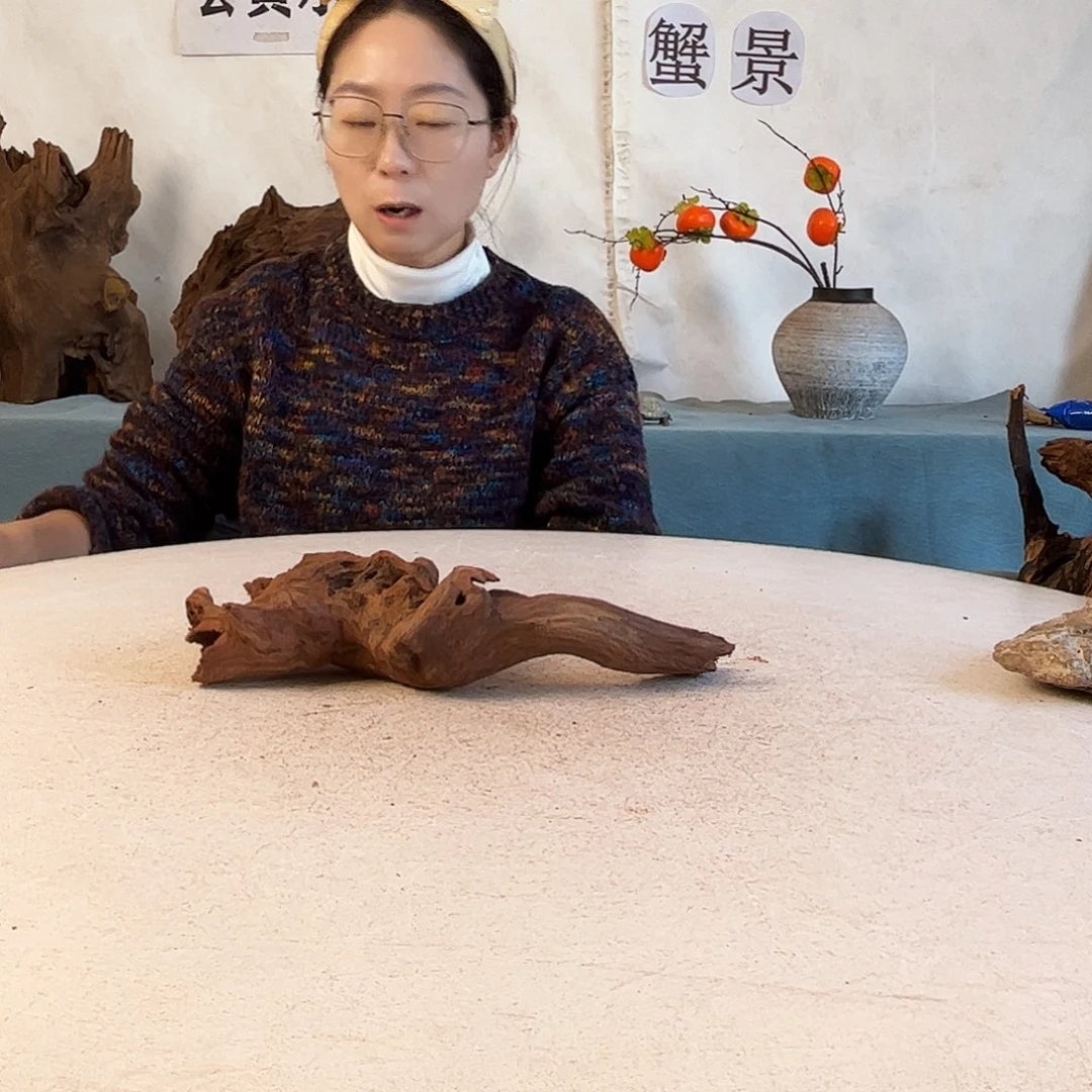 沉木造景爬宠造景
