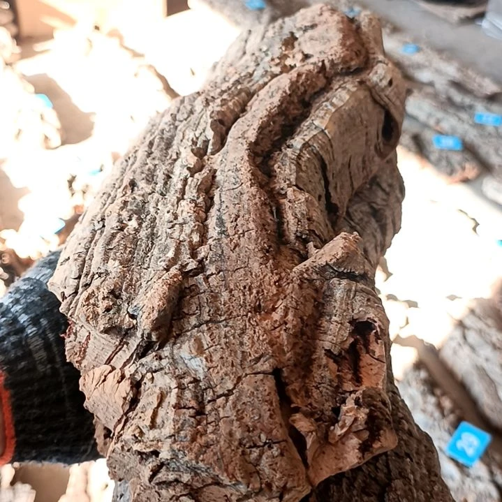 一物一拍一物一发