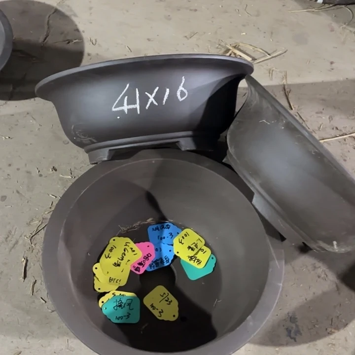 紫砂花盆              100-3