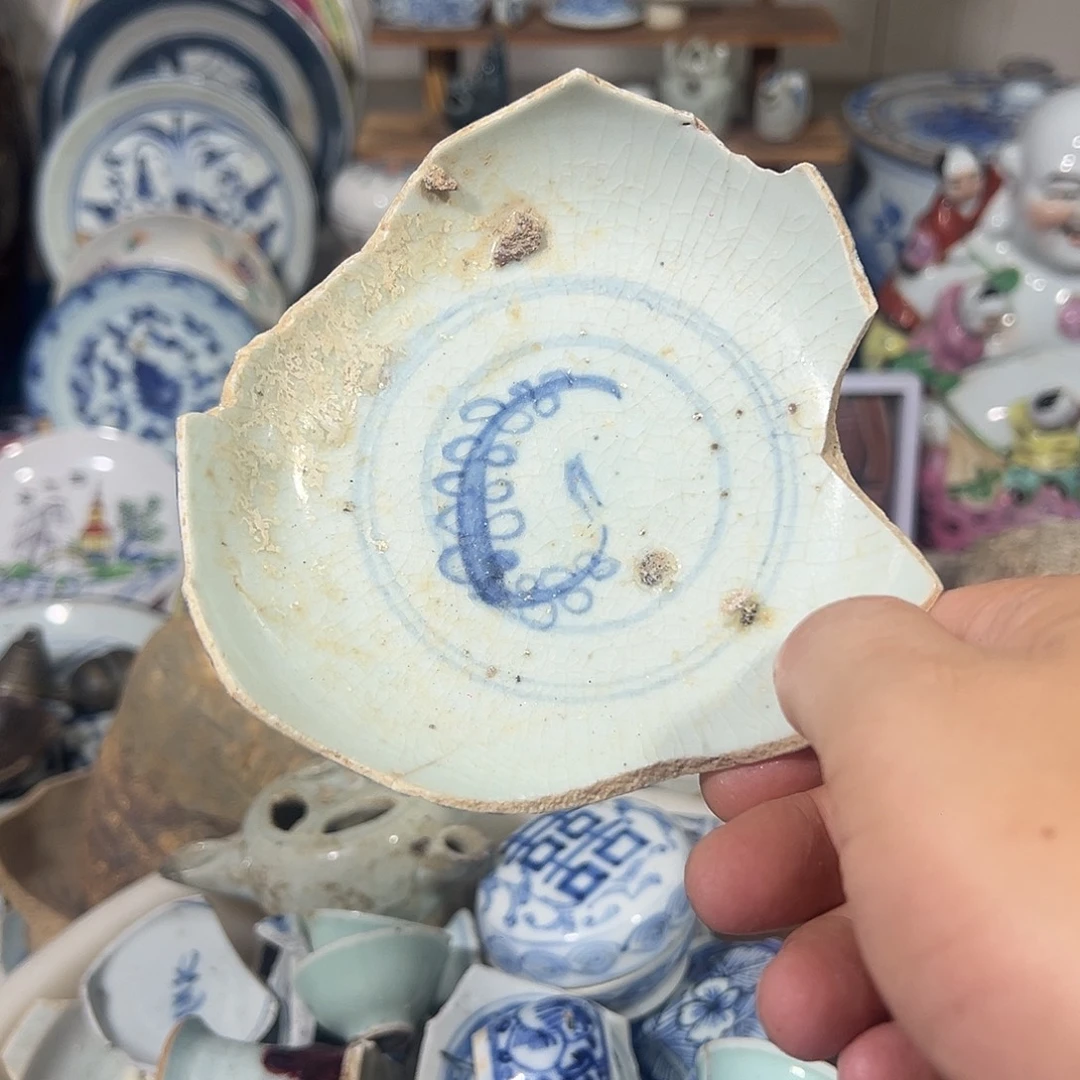 瓷片瓷片标本，全场包邮