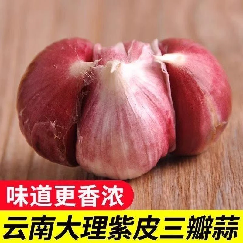 【新店半价】紫皮三丫蒜三瓣蒜大蒜鲜蒜正宗紫皮大蒜紫皮三丫干蒜