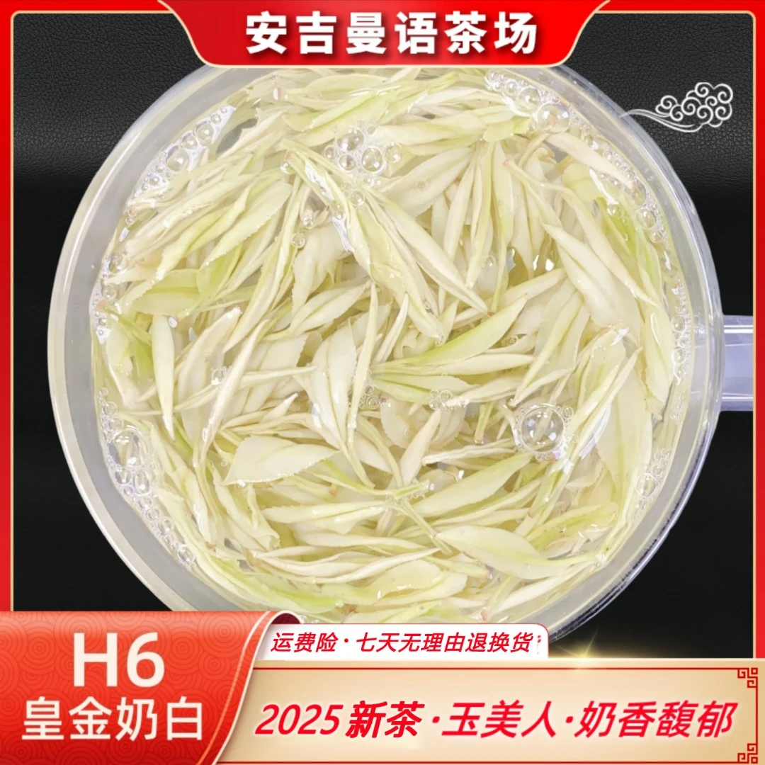 2025年新茶 皇金芽【玉美人H6】明前 安吉原产地 明前茶 奶香白茶