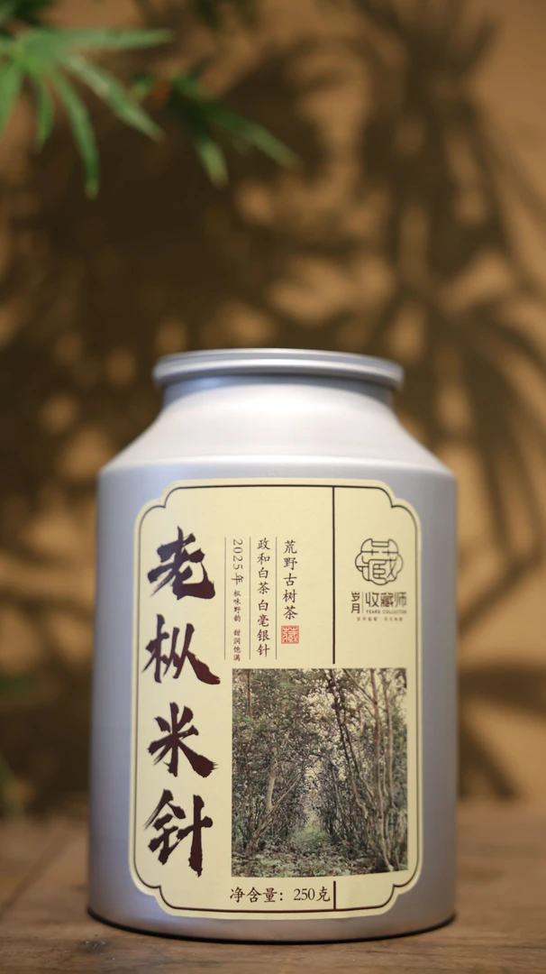 （静萱茶事）青际坑2025年荒野古树老枞米针250g每ID支持试喝一泡