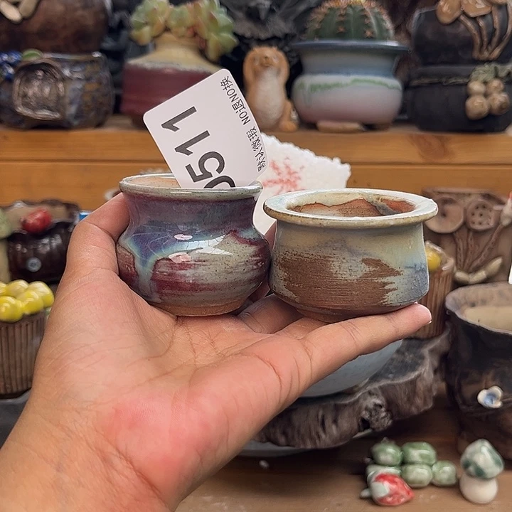 这个世界就是说什么呢。511