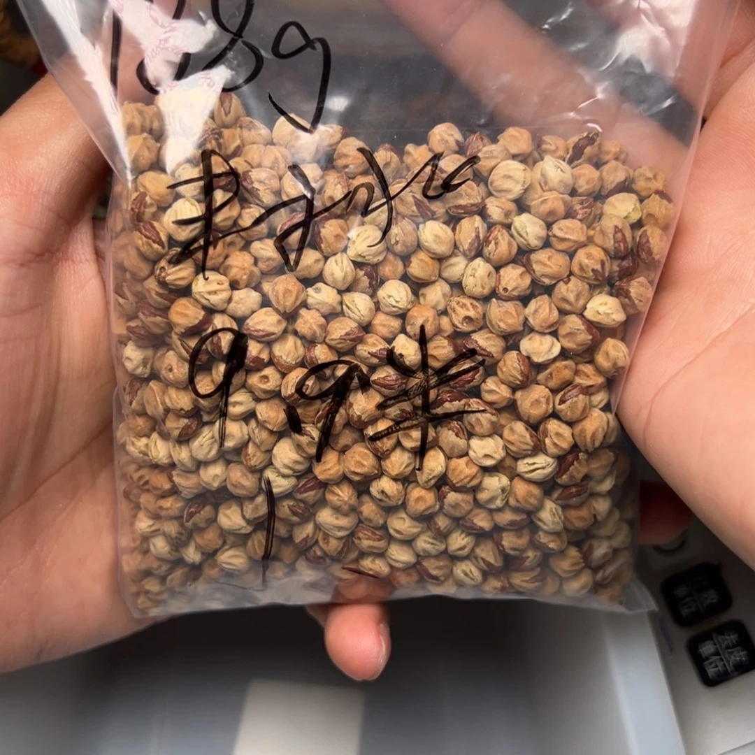 柏香籽/百香籽吊坠