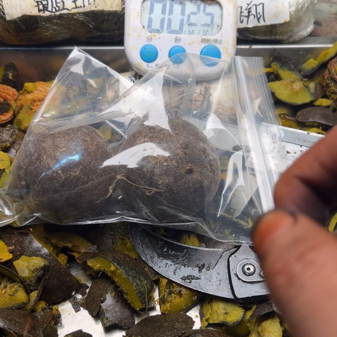 大***愚一看扭扭捏捏不会斤斤计较