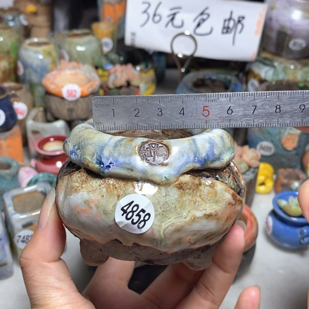 拍3送一个小礼物