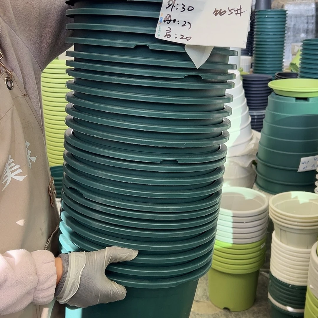 瑕疵矮胖5#墨绿色10个无托