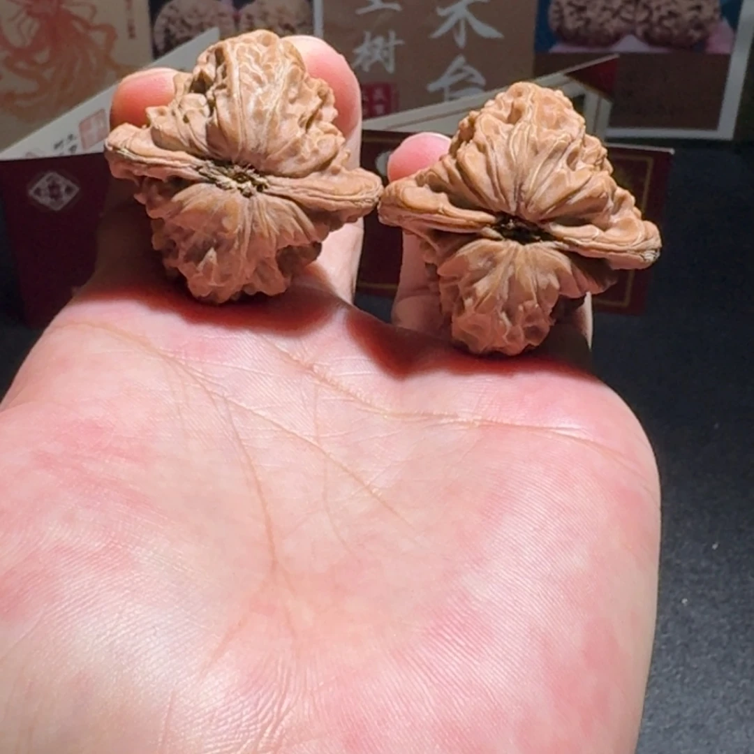 原树白蛇骨编号1392尺寸39