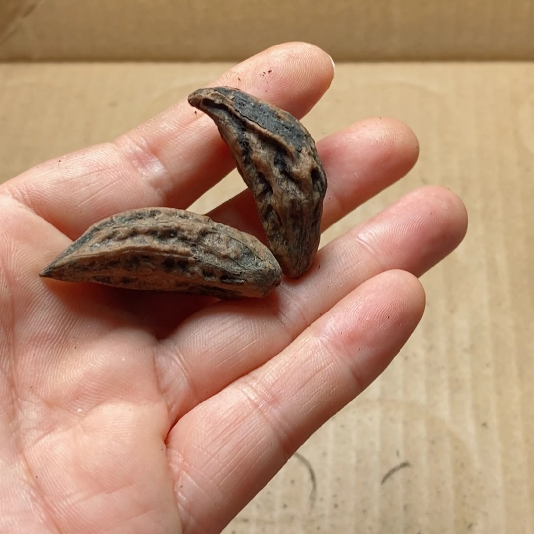 文玩核桃吊坠核桃77