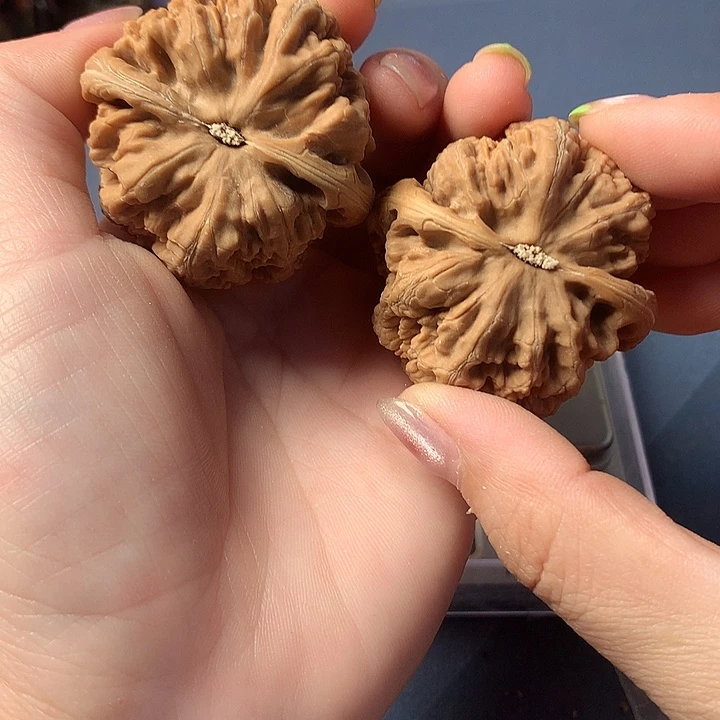 带***漫吊坠文玩核桃粗筋