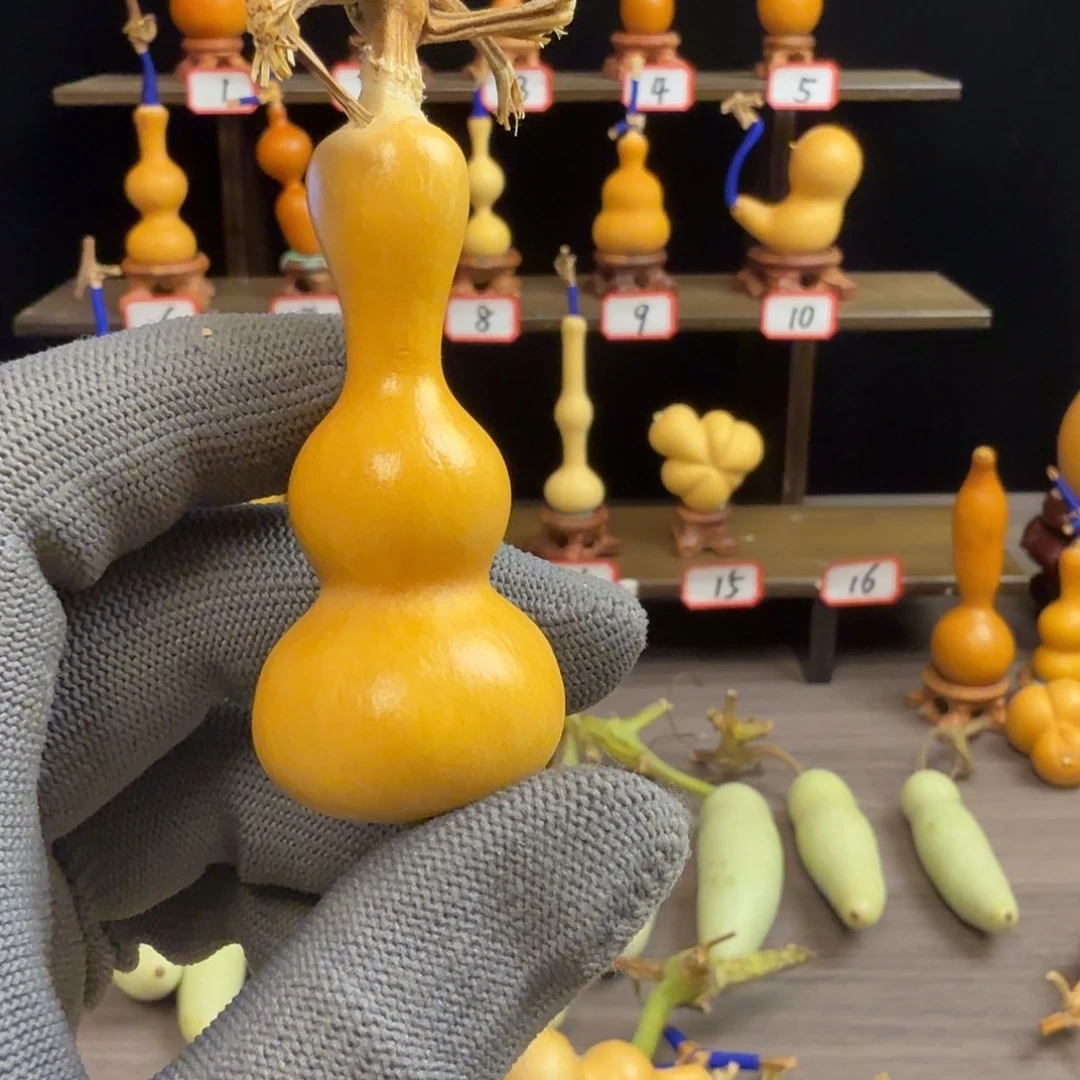 姜***上木远扬工艺葫芦小店