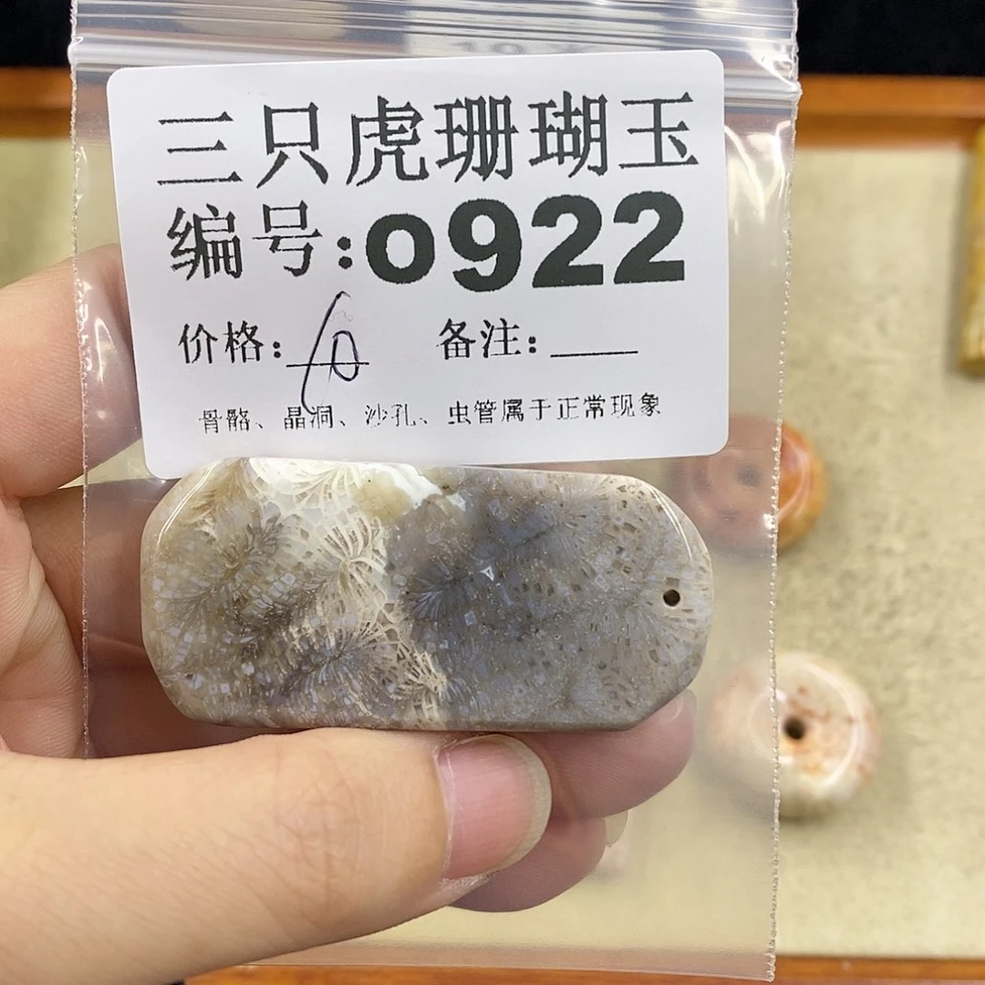 硅化珊瑚（珊瑚玉）1未镶嵌秦*