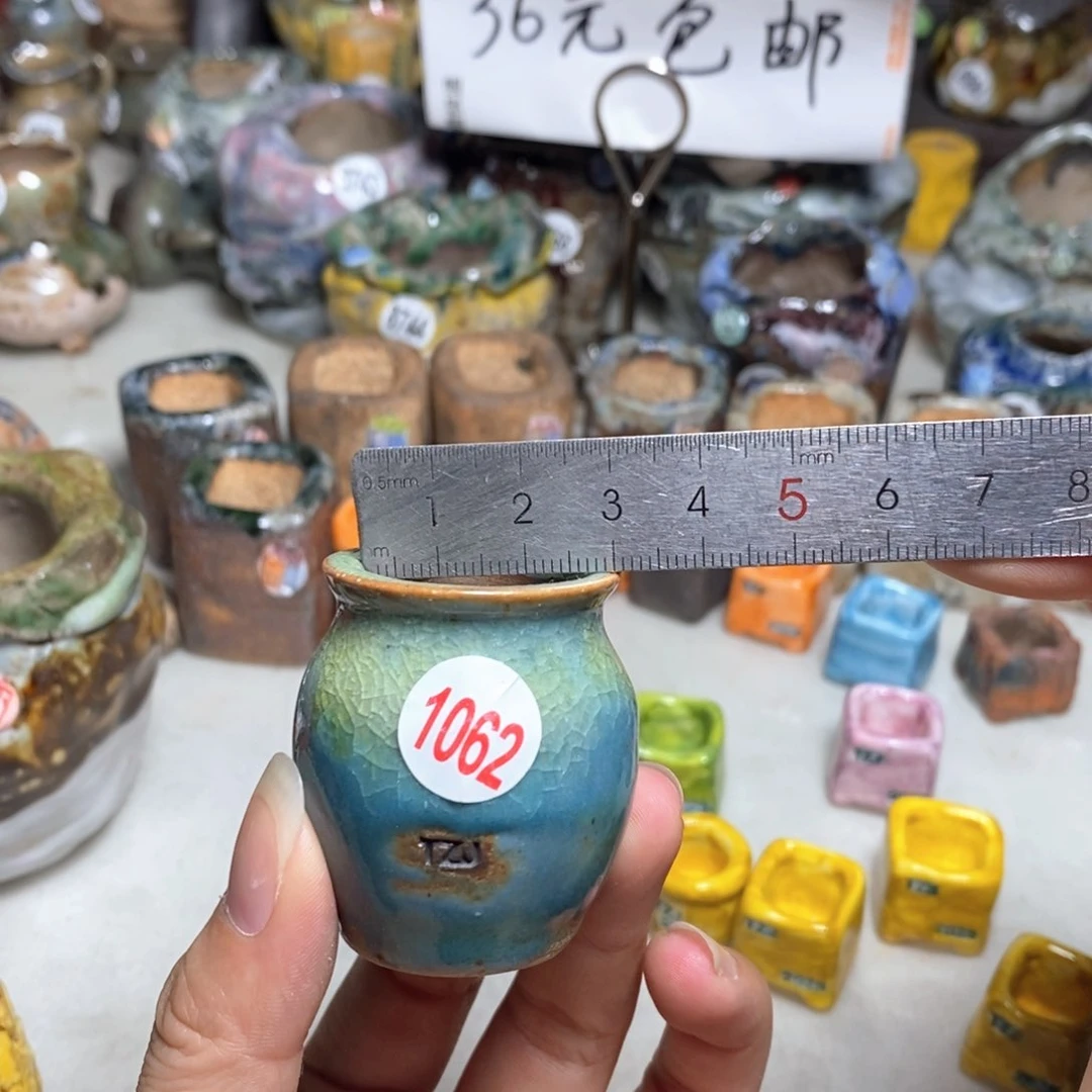 拍5送一个小礼物