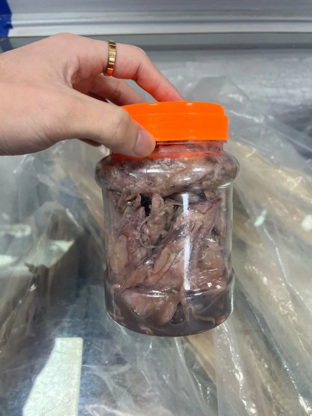 广东汕尾港马宫就船尼仔尼仔解海陆丰特色女仔尼阿解