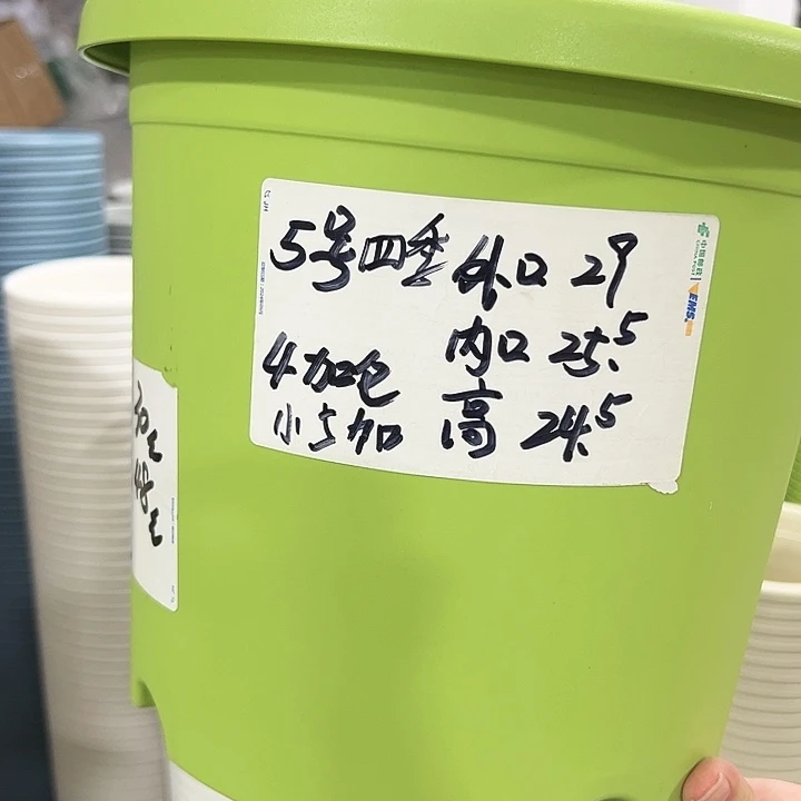 特价5号口29高25果绿色24果绿色6只无托