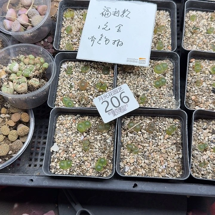 我们一起看电视呢哈哈