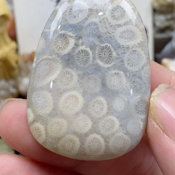 颈饰未镶嵌硅化珊瑚（珊瑚玉）