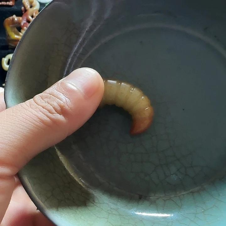 有***力大叶紫檀（黑酸枝木类）