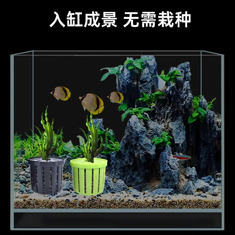 家用鱼缸水草定植篮造景装饰养草杯花卉固根器水草泥沉底固定器