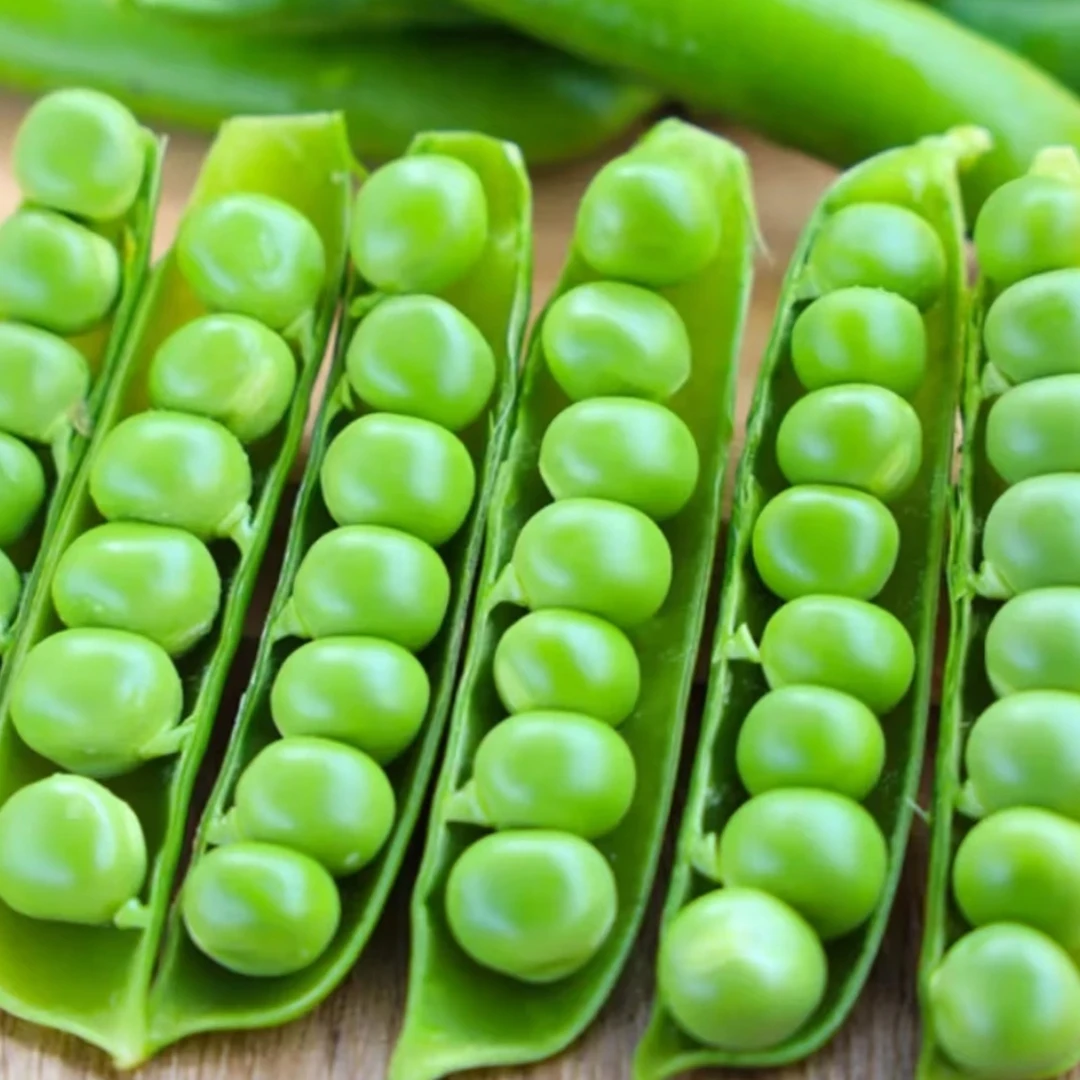 （现摘现发）农家自种老品种青嫩豌豆嫩甜饱时令蔬菜