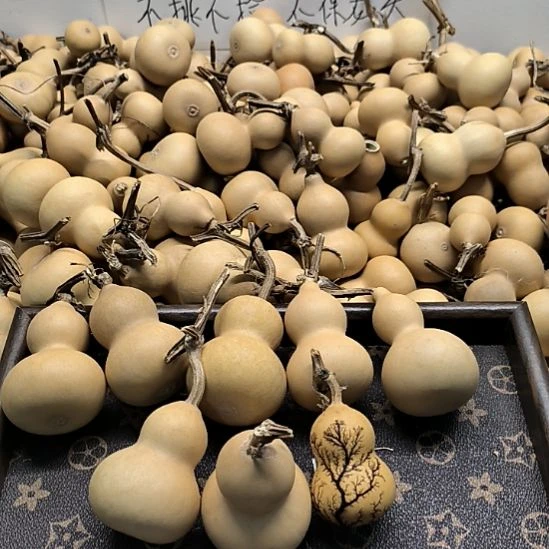 小美葫芦通货，现场封箱，不包龙头，完美主义勿拍36