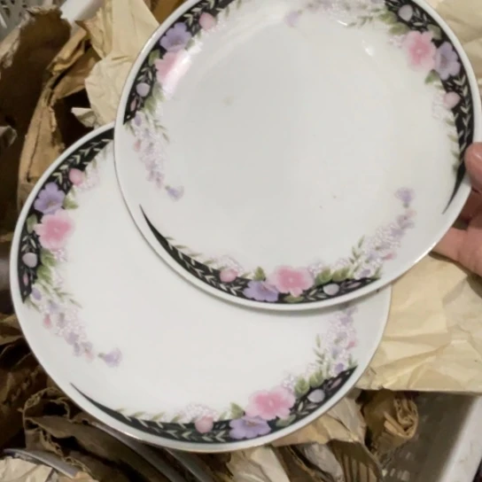 瓷片陶瓷陶瓷8英寸浅窝2个红叶飞马