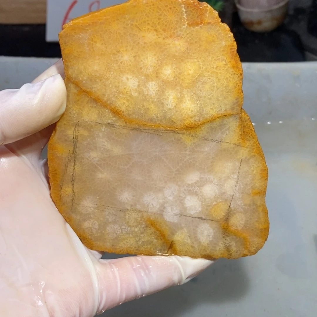 【闪购商品】硅化玉珊瑚玉未镶嵌