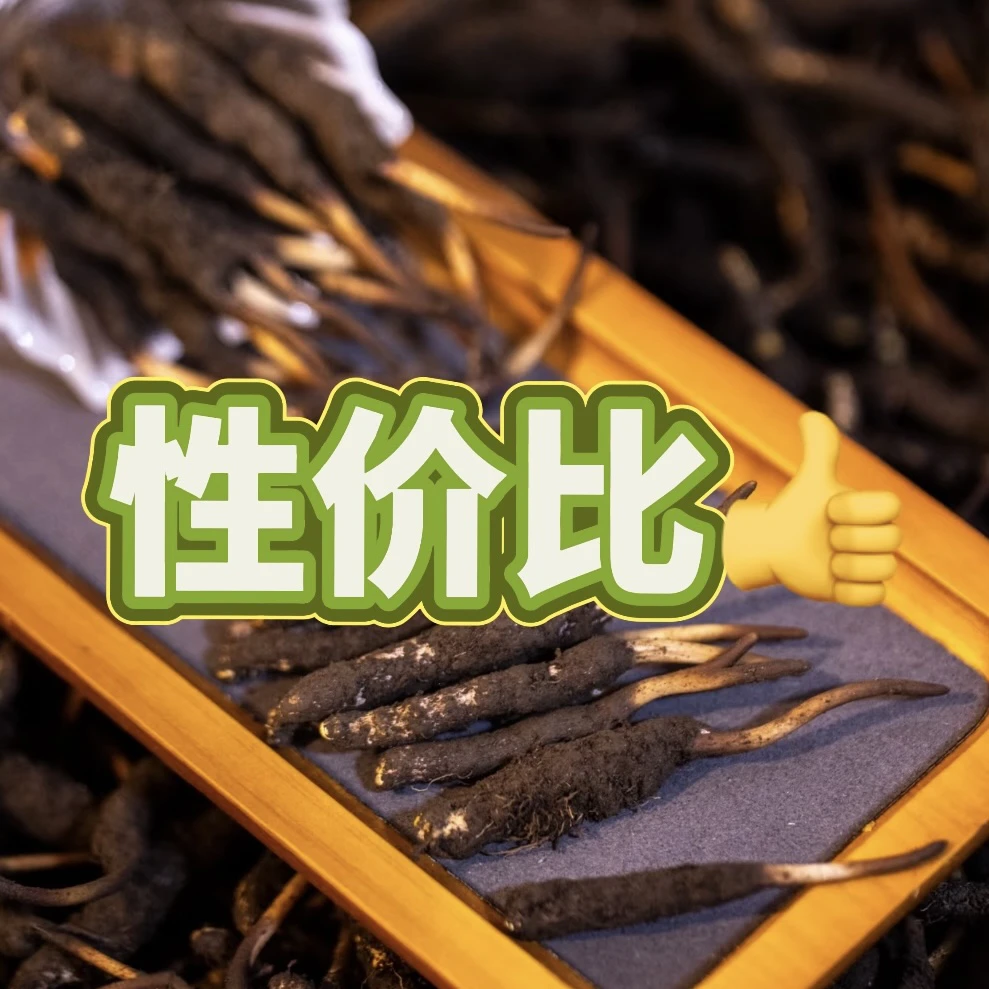 娘舅鲜草【性价比鲜草】均0.65-1.05 炖汤泡茶鲜高海拔 当零食赞些