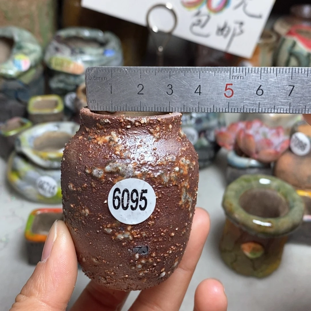 花盆拍5送一个小礼物