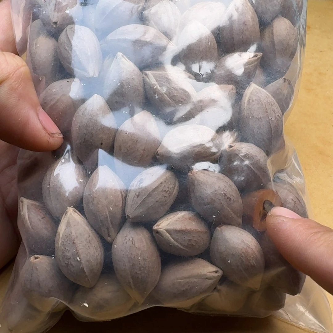 橄榄核手串/手链1