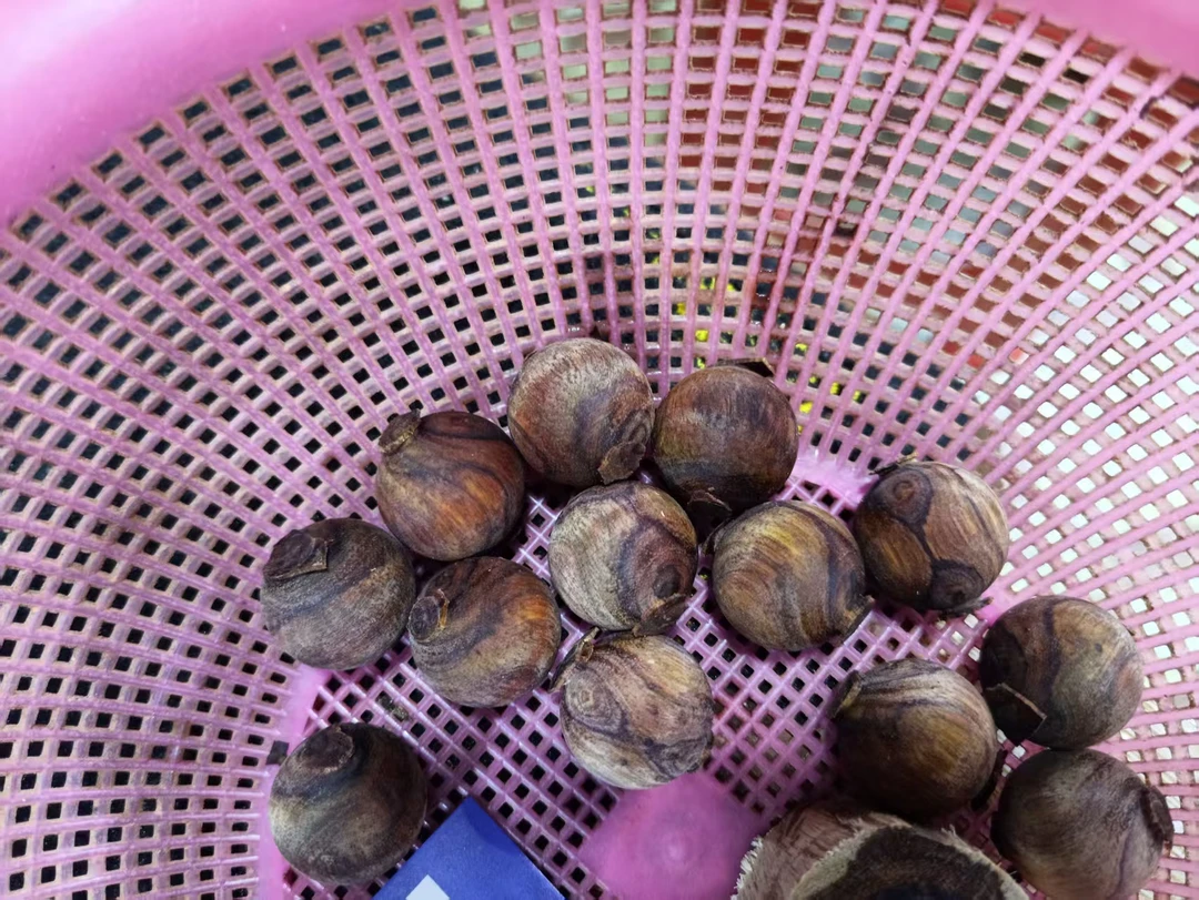 海南花梨手串2.0