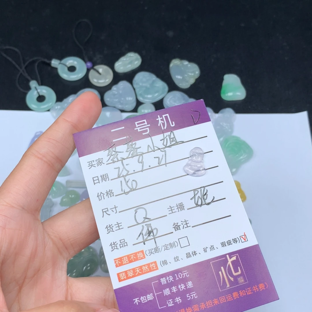 颈饰未镶嵌翡翠蔡**姐翡翠
