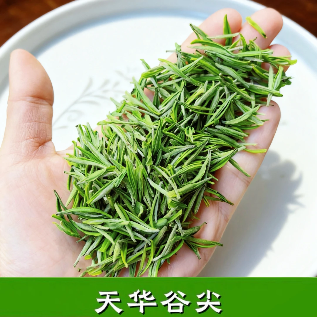 2025安庆天华谷尖岳西翠兰嫩芽绿茶小兰花黄芽明前新茶叶送礼250g