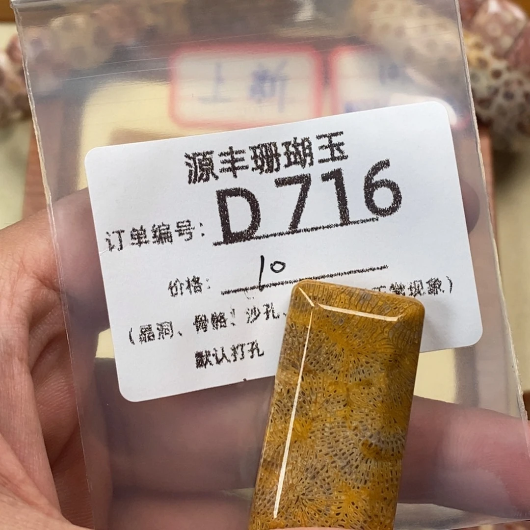 A***外硅化玉未镶嵌颈饰