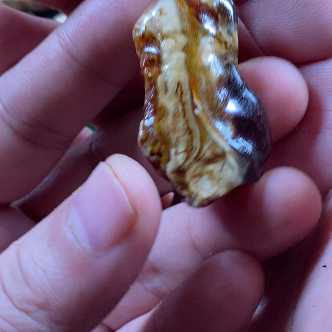 定制琥珀未镶嵌?****底