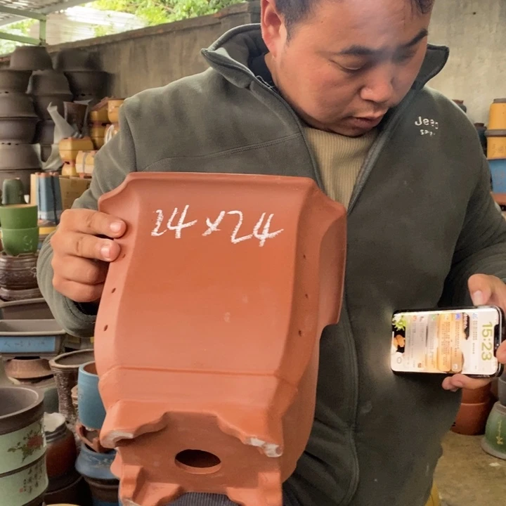 紫砂花盆盆栽花卉苗木种植