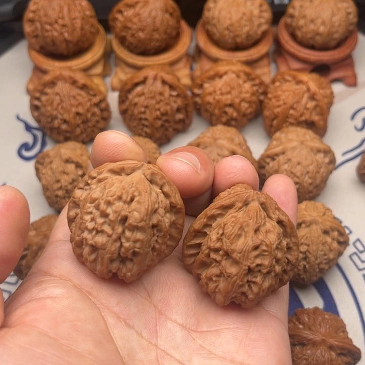 38尺寸有黄白狮子