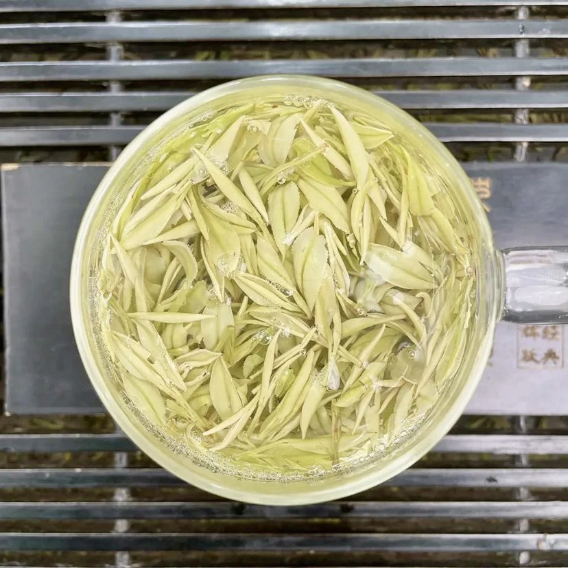 【大熊猫奶白皇金芽】2025新茶 安吉昆铜姚坞 明前奶白茶 奶香浓