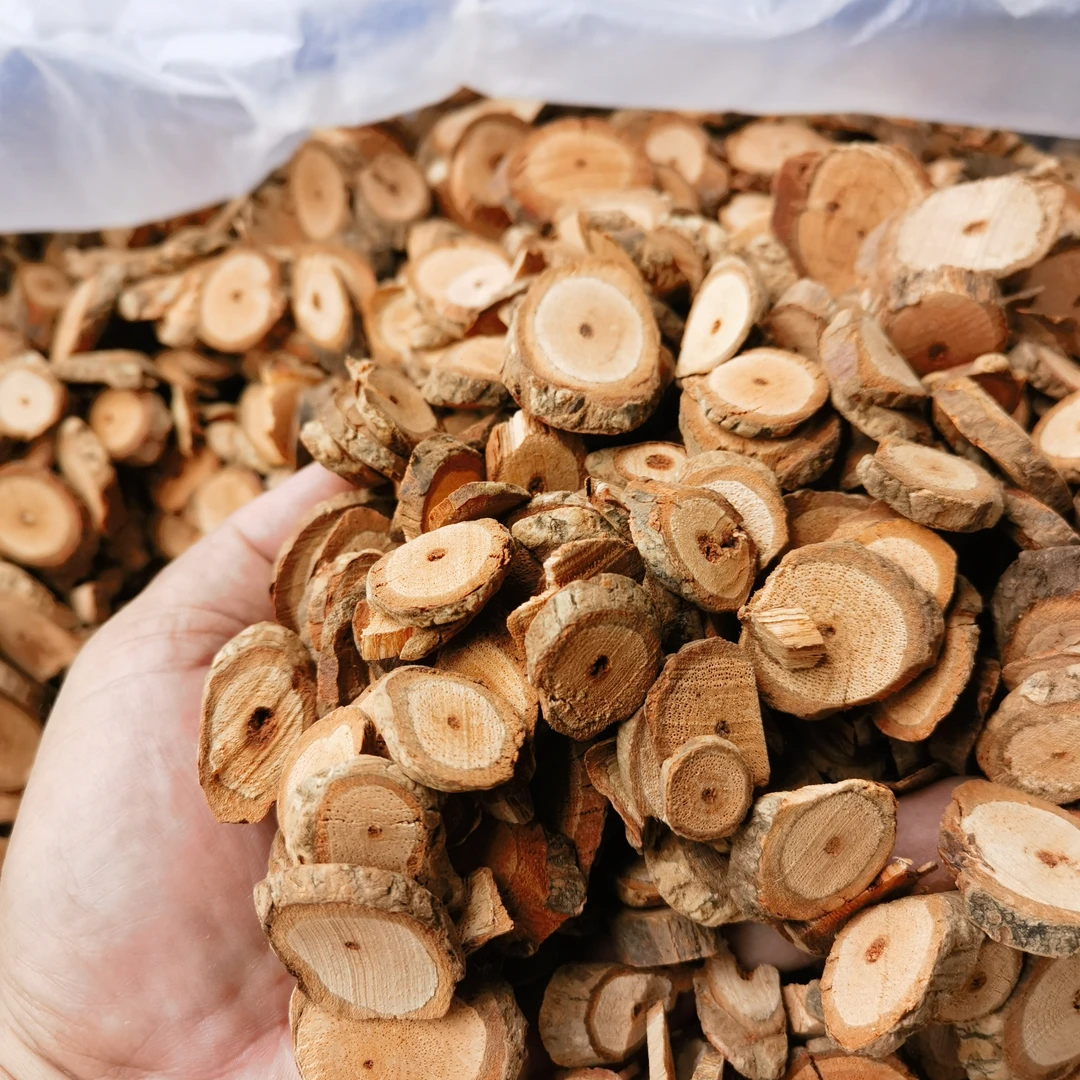 广西野生正品海风藤